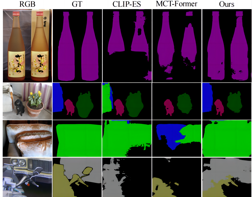 Weakly Supervised Segmentation Result